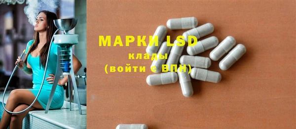 прущие грибы Алзамай
