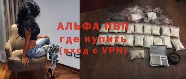 прущие грибы Алзамай