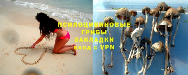 мескалин Алексин