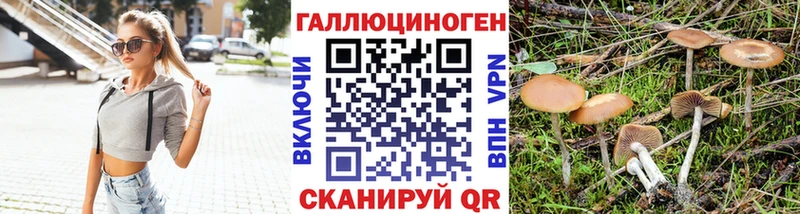Галлюциногенные грибы Psilocybe  закладка  Слободской 